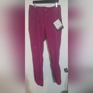 Arc'teryx Women's Theriss High-Rise Pant GTX Synth Size 16 Regular NWT